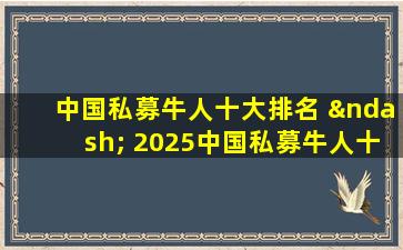 中国私募牛人十大排名 – 2025中国私募牛人十大排名投资热点分析